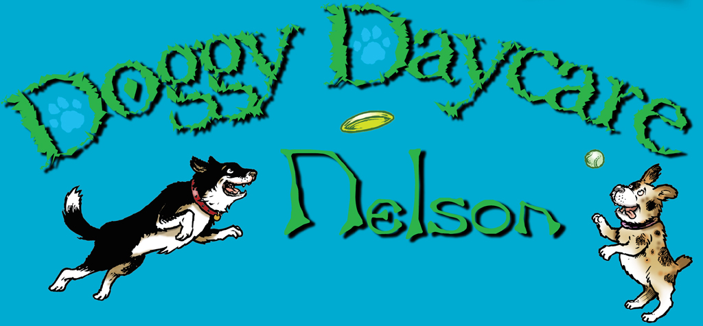 Doggy Daycare Nelson